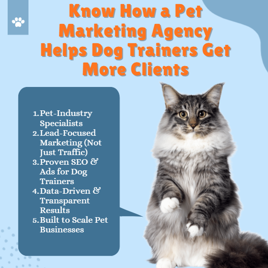 Best Pet Marketing Agency