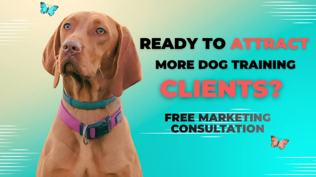 Dog trainer marketing strategies to attract more dog training clients and generate leads