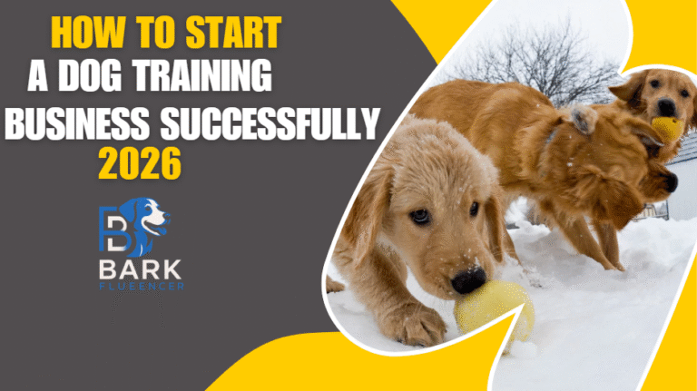 How to Start Up a Dog Training Business Successfully