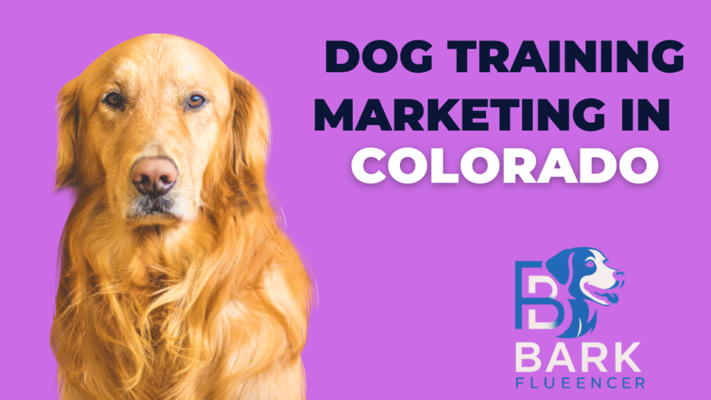 Dog training marketing services in Colorado for professional dog trainers