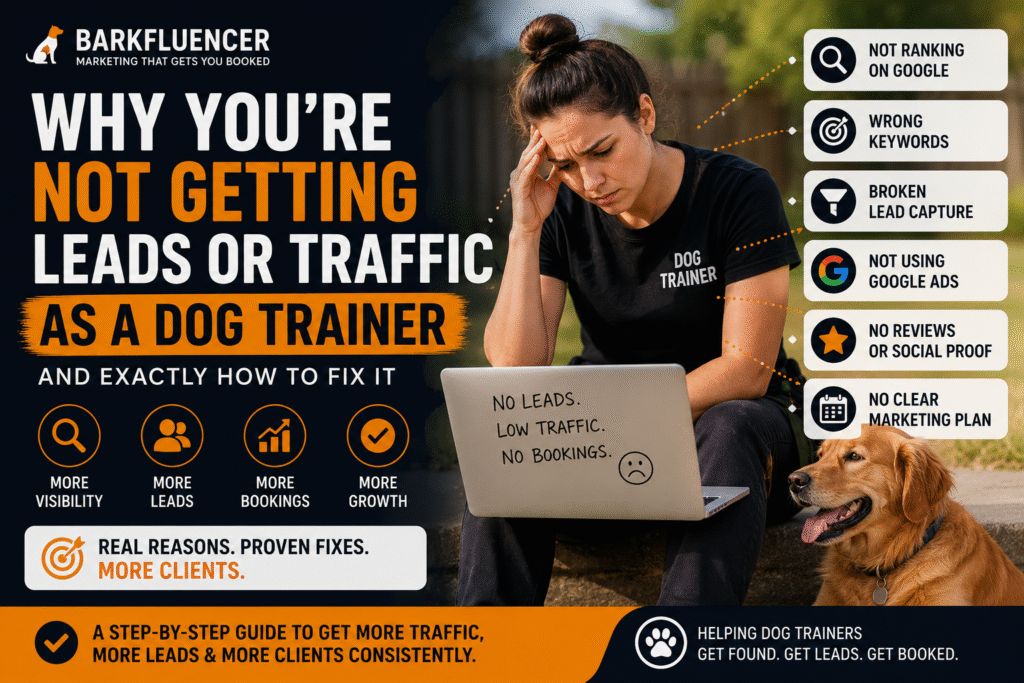 Dog trainer frustrated by low website traffic and lack of leads while planning a digital marketing strategy.