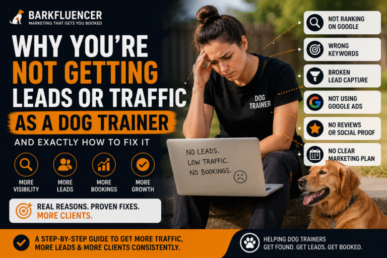 Dog trainer frustrated by low website traffic and lack of leads while planning a digital marketing strategy.